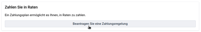 rechnung_einsehen_zahlen_in_raten
